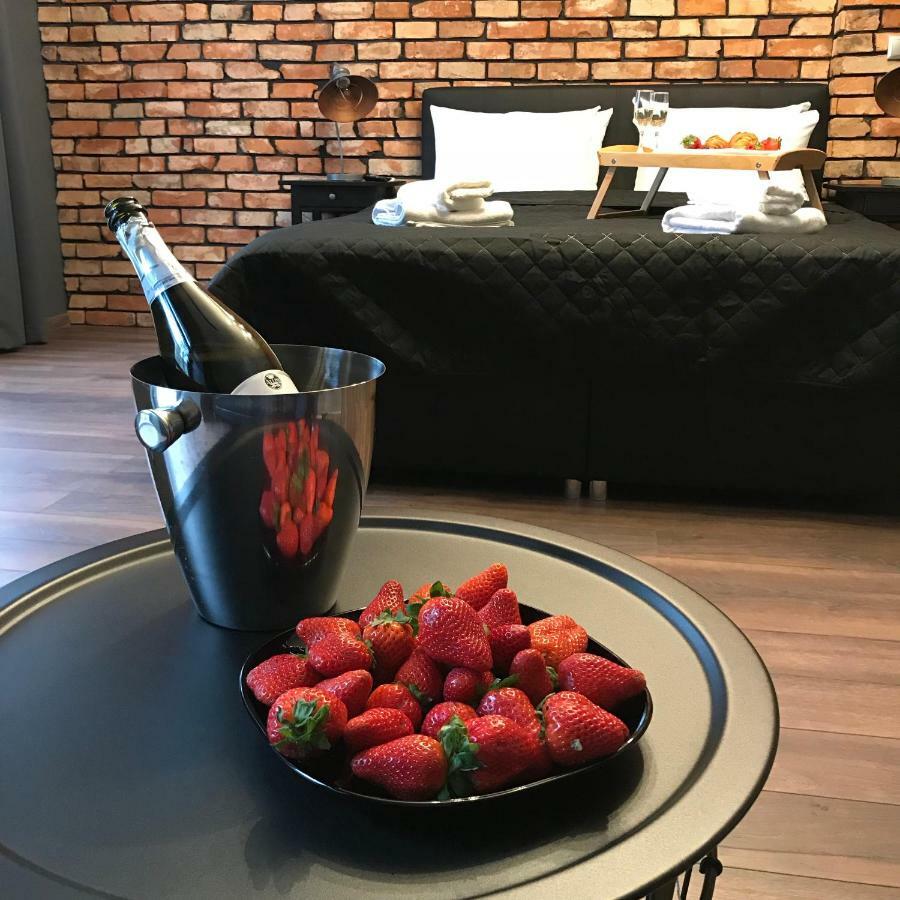 Leo Apartments Old Town Krakow Luaran gambar